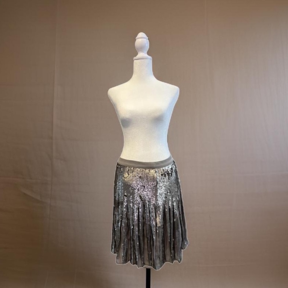 Sequin and Chiffon pleated mini skirt